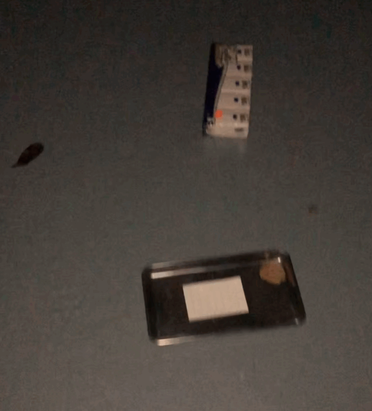 IMG_2942 - Treignac.life