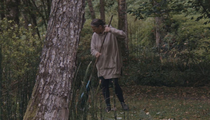 Raking Leaves - Treignac.life